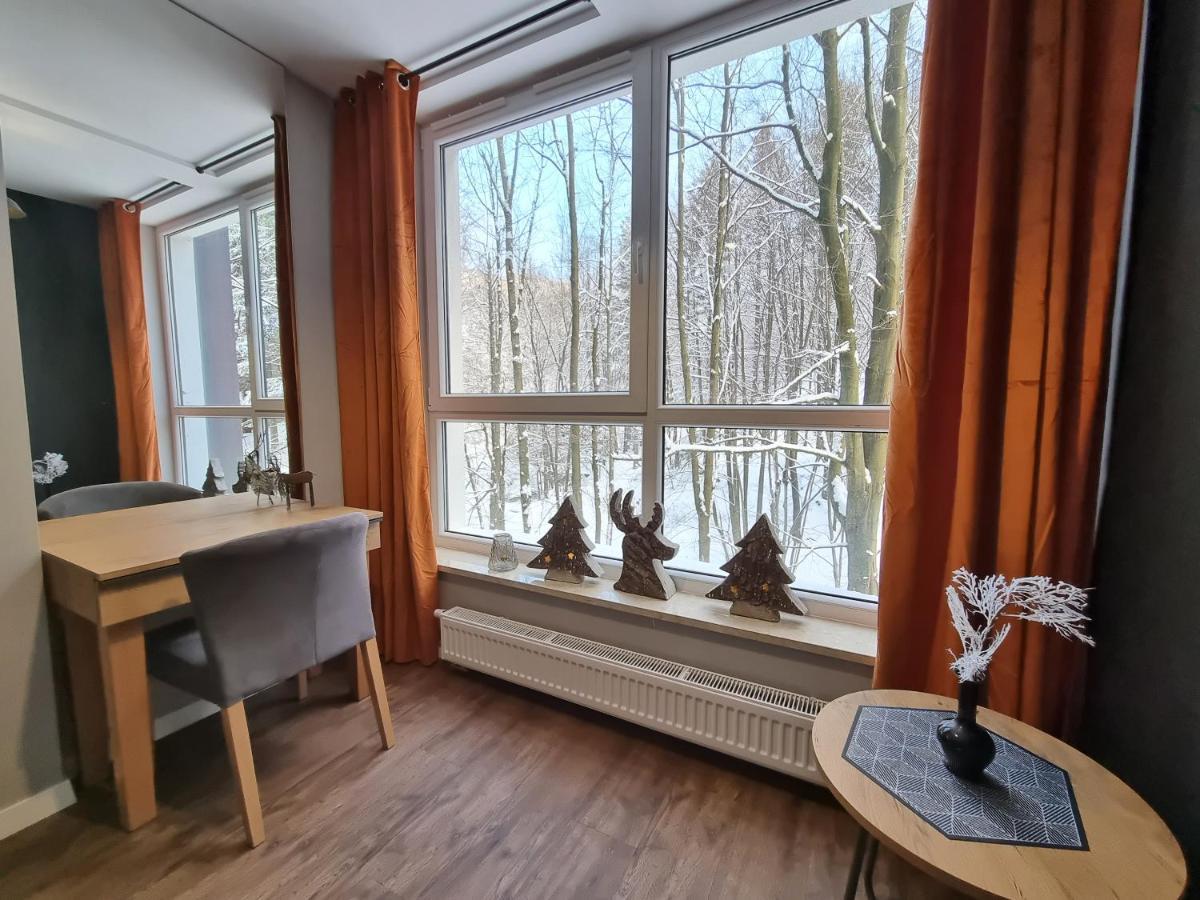 Apartament Resort Kozubnik Kiczora 10 - 5D Apartamenty Porąbka Kültér fotó