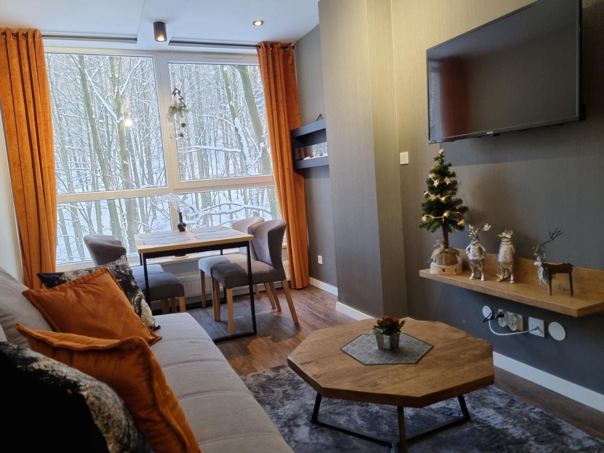 Apartament Resort Kozubnik Kiczora 10 - 5D Apartamenty Porąbka Kültér fotó